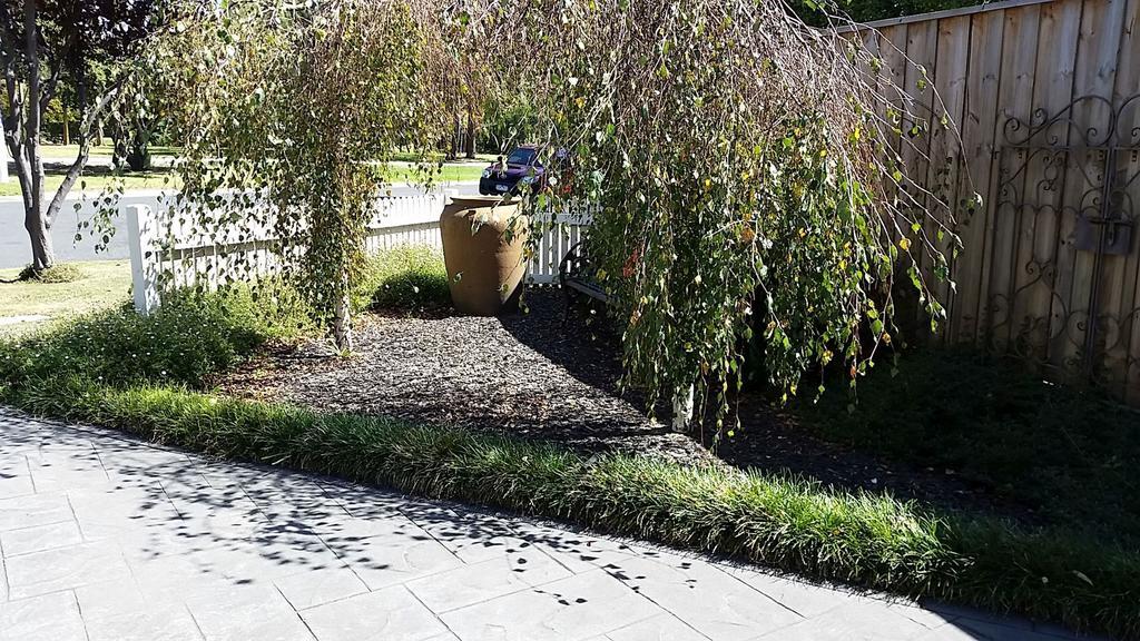 Creek Cottage Bed And Breakfast Traralgon Exteriör bild